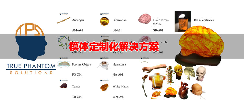 True phantom可以根據(jù)買方的研究或教育需求量身定制，以模仿健康的人體骨骼和不健康的人體骨骼