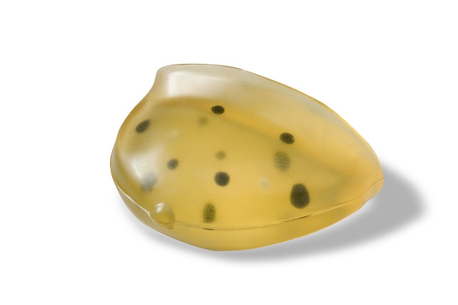 CIRS 013乳腺模體，CIRS 013模體