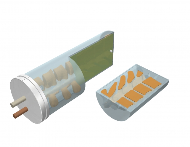 CIRS 036-01 E2E SBRT胸部模體，脊椎可移動(dòng)