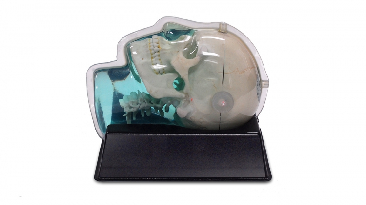 CIRS 603A頭部模體，CIRS 603A頭部MRI模體