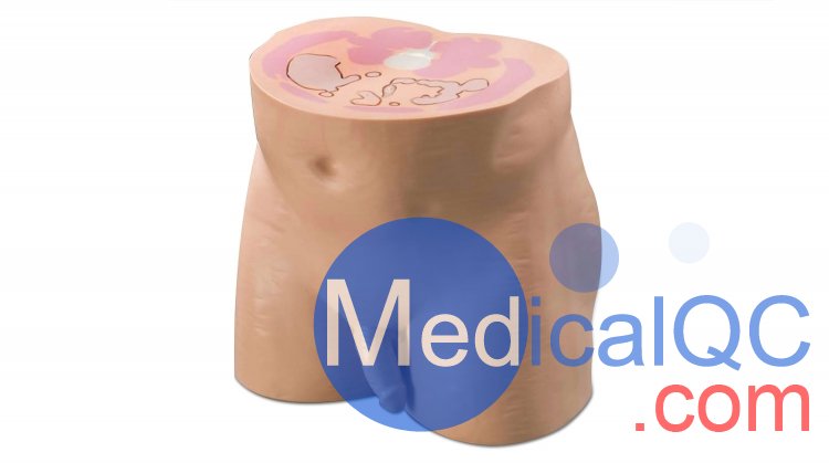 CIRS 801-P男性骨盤(pán)模體，CIRS 801-P模體