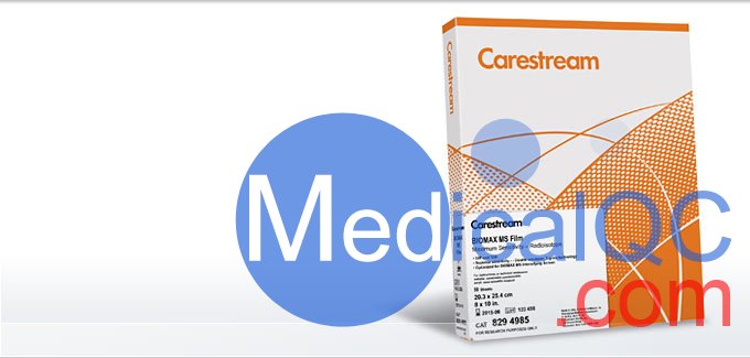 柯達(dá)BioMax MS膠片，BMS1 X射線膠片，Kodak BioMax MS科學(xué)膠片，Carestream自顯影膠片