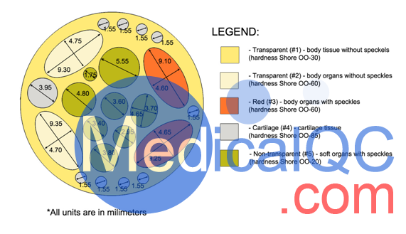 RT-C01大鼠模體，加拿大Truephantom RT-C01大鼠模體構(gòu)造