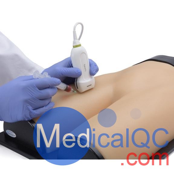 BPF1500-HP血管通路和區(qū)域麻醉超聲訓練模體，BPF1500-HP區(qū)域麻醉超聲模體