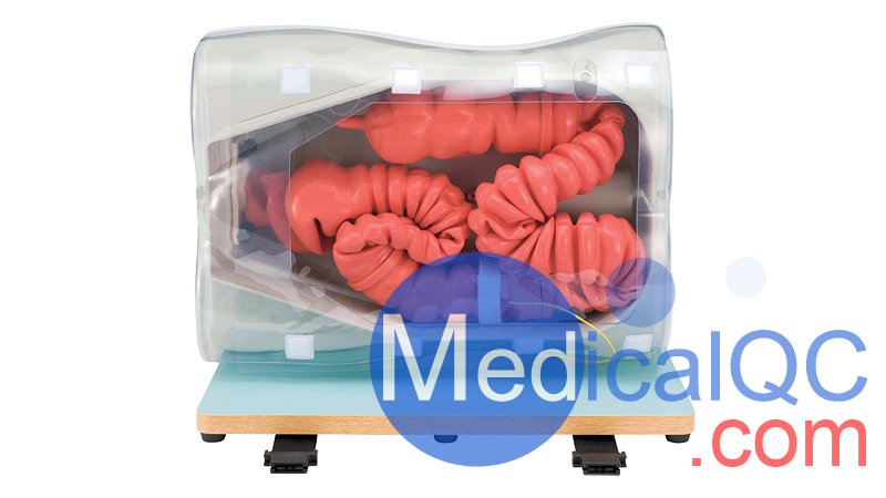 LM-107結腸鏡模擬器, LM-107內窺鏡下消化道模體