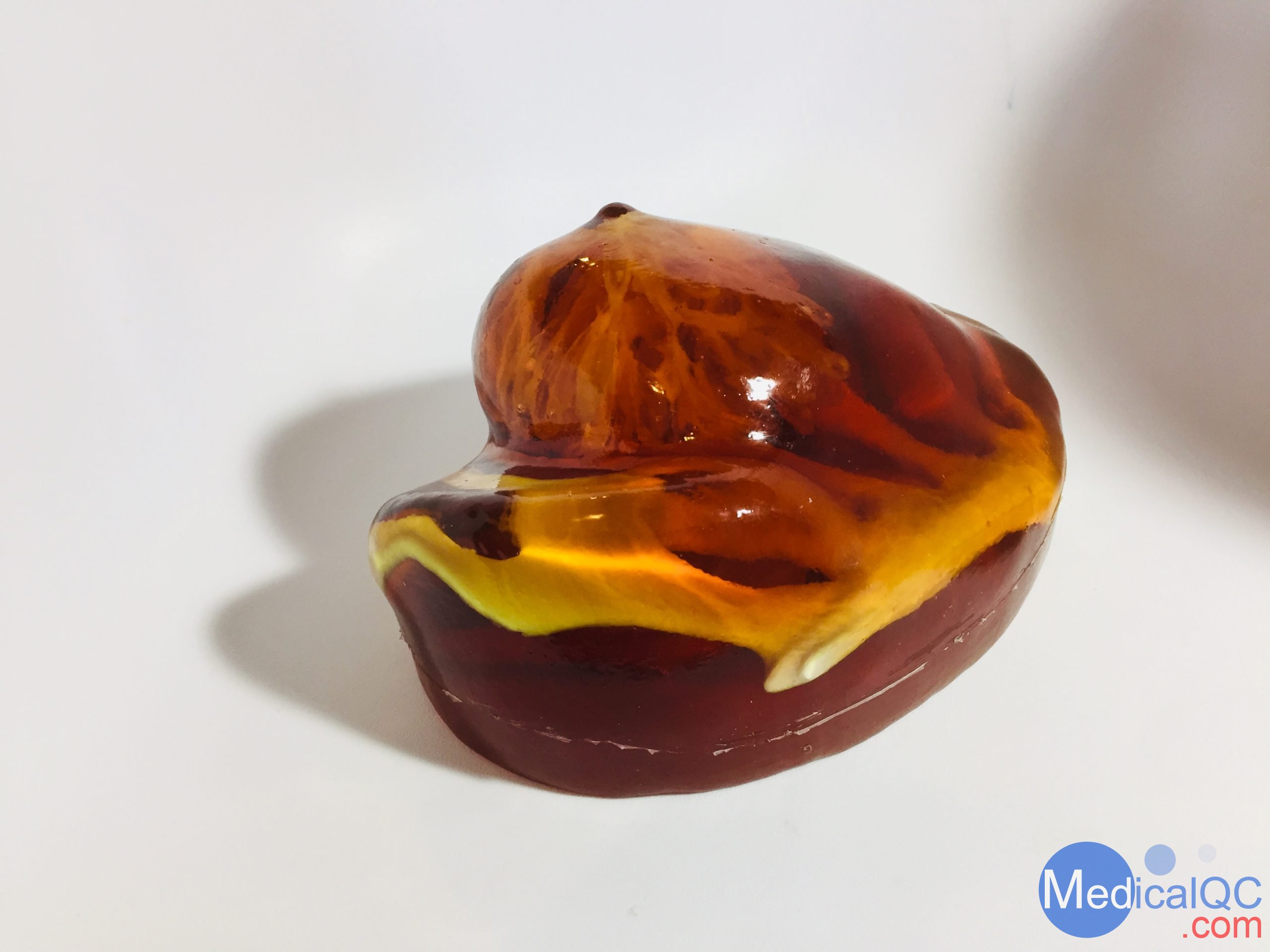 BT-A01乳房模體，BT-A01解剖乳房模體