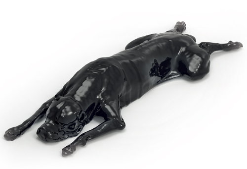 狗全身CT模體，EZ VET14000狗全身模型，可X射線(xiàn)和CT