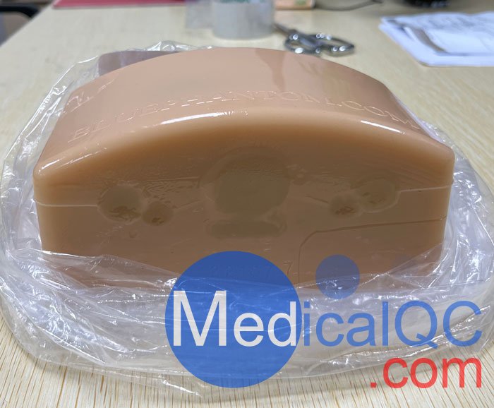 BPT195甲狀腺穿刺模型，BPT195超聲引導穿刺模體