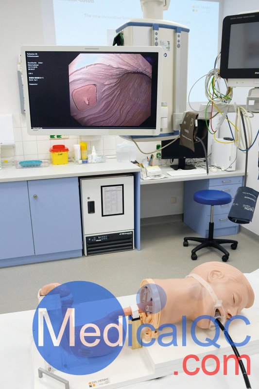 R21100胃模擬器,EGD胃鏡訓(xùn)練模體,德國(guó)EZ胃模體