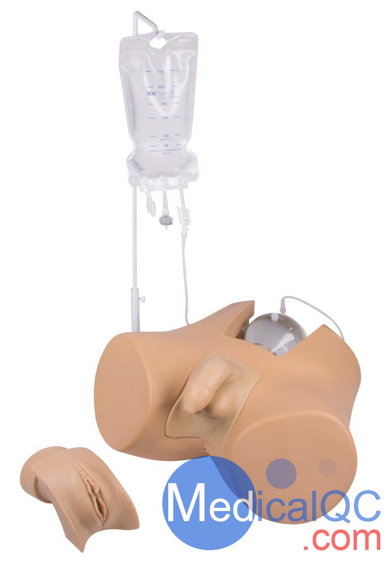 Henri Dunant膀胱插管模擬器，Nightingale導(dǎo)尿訓(xùn)練模體