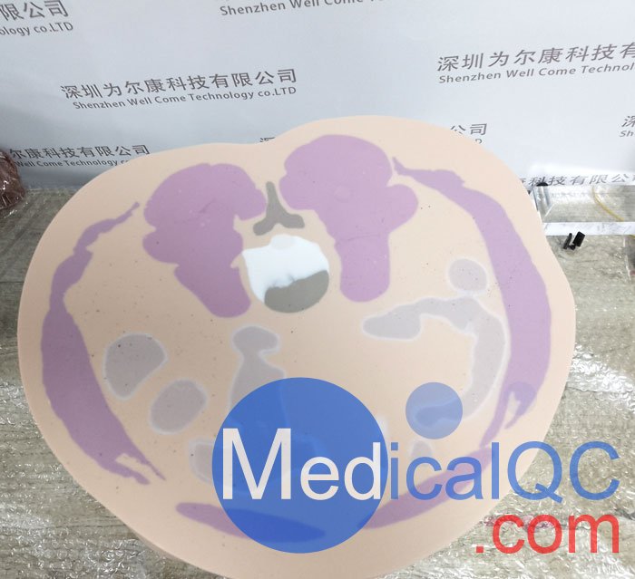 CIRS 801-P男性骨盤(pán)模體，CIRS 801-P模體實(shí)物拍攝圖