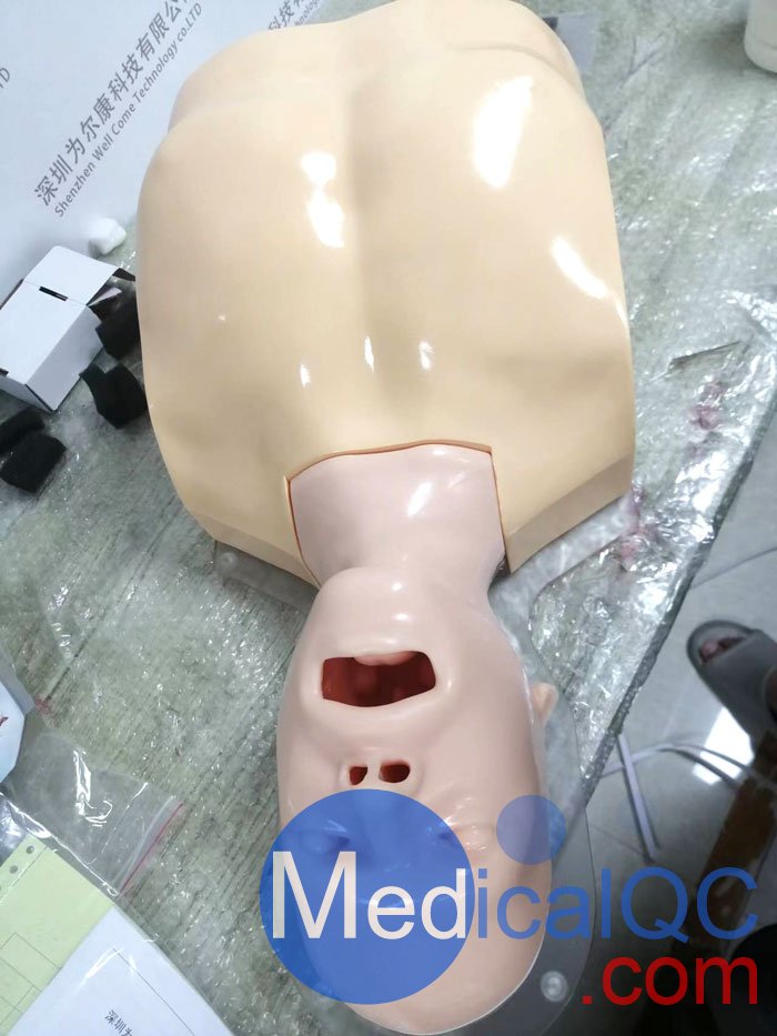 WEK-B05內(nèi)窺鏡支氣管模體，WEK-B05支氣管模型