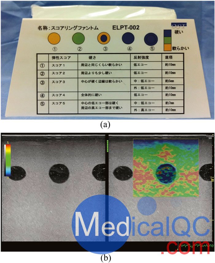 ELPT-002彈性成像模型，ELPT-002彈性成像模體