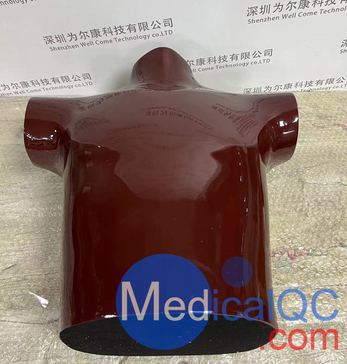 RSD RS-310胸/肺模體，RSD RS-310肺部模體實拍圖