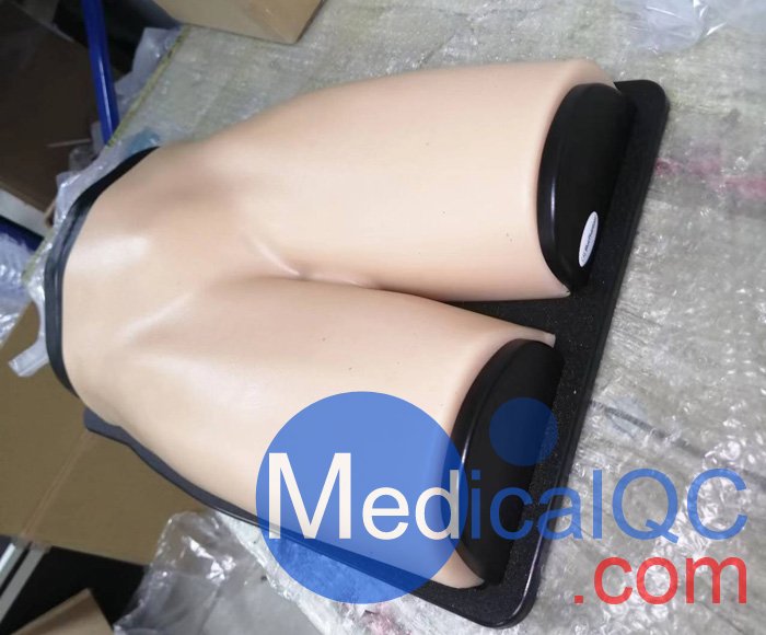 BPF1500-HP血管通路和區(qū)域麻醉超聲訓(xùn)練模體，BPF1500-HP區(qū)域麻醉超聲模體