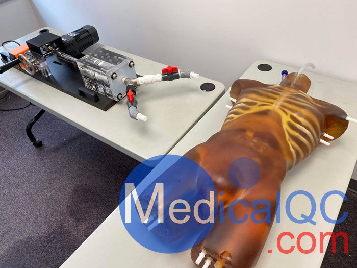 TO-A02成人軀干模體，TO-A02動態(tài)心臟運動軀干模體