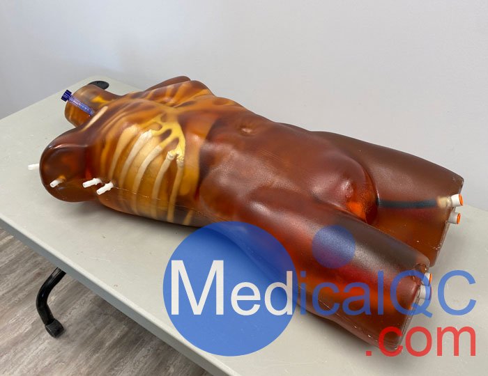 TO-A02成人軀干模體，TO-A02動態(tài)心臟運動軀干模體