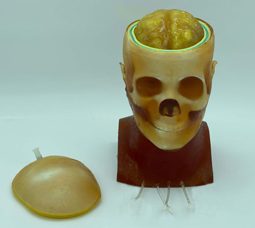 HD-C03成人頭模，HD-C03血管造影頭模，HD-C03頭部模體