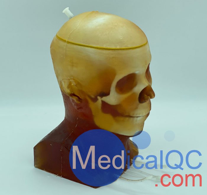 HD-C03成人頭模，HD-C03血管造影頭模，HD-C03頭部模體實(shí)拍圖