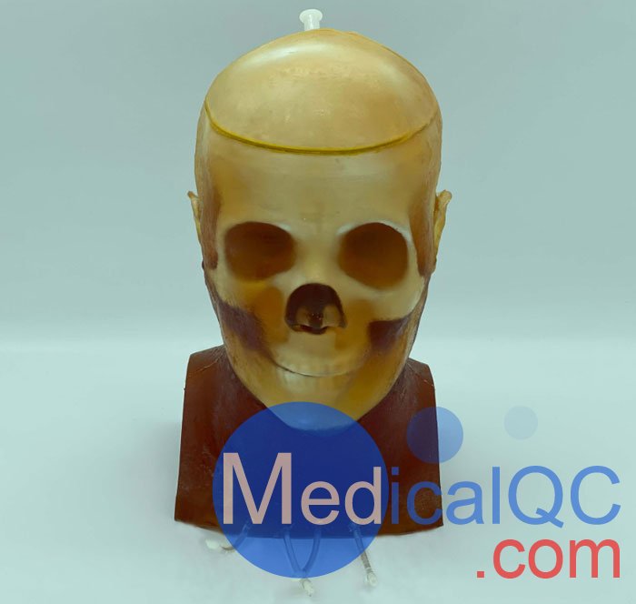 HD-C03成人頭模，HD-C03血管造影頭模，HD-C03頭部模體實(shí)拍圖