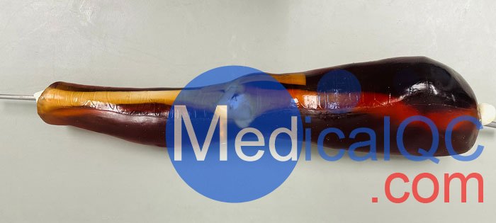 KE-A02成人膝關(guān)節(jié)模體，KE-A02腿部模型，KE-A02腿模體