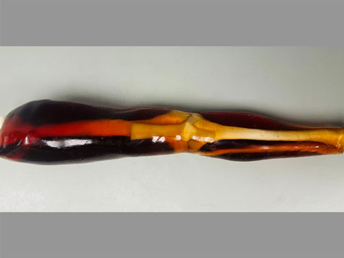 KE-A02成人膝關(guān)節(jié)模體，KE-A02腿部模型，KE-A02腿模體