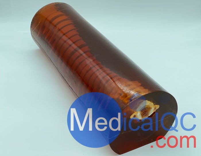 SE-A02成人脊柱模型，SE-A02脊柱模體,SE-A02脊椎模體