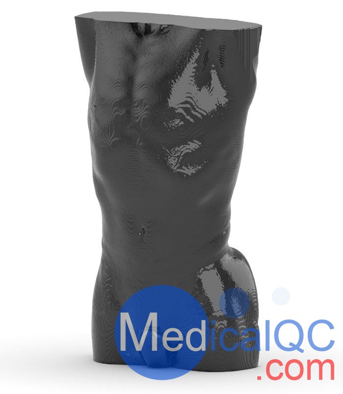 WEK57-01門(mén)靜脈期軀干模體,WEK57-01軀干模型