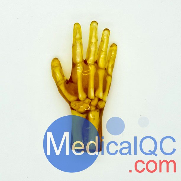 HN-P01兒童手掌模體，HN-P01手掌模型