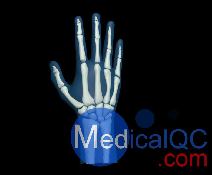 HN-P01兒童手掌模體，HN-P01手掌模型