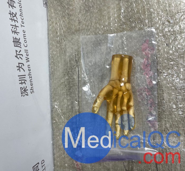 HN-P01兒童手掌模體，HN-P01手掌模型產品實拍圖