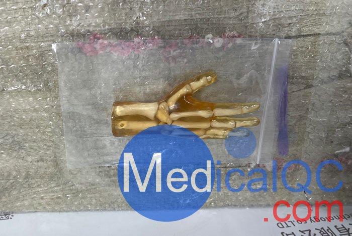 HN-P01兒童手掌模體，HN-P01手掌模型產品實拍圖