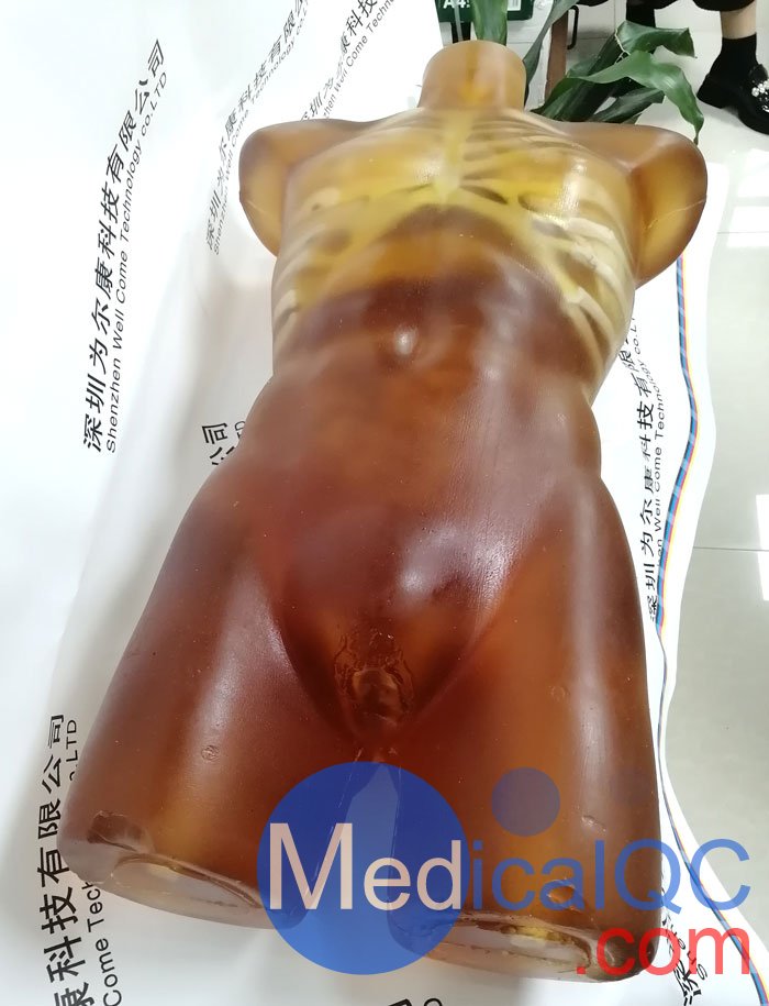 US-A02成人軀干模體，US-A02可用于超聲，CT,X射線成像
