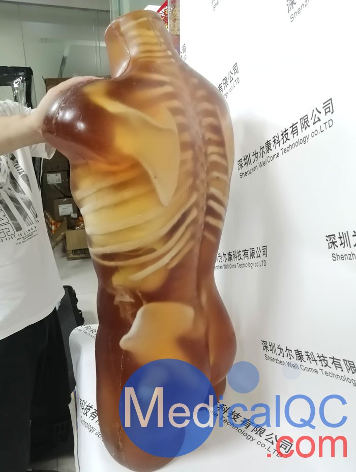 US-A02成人軀干模體，US-A02可用于超聲，CT,X射線成像