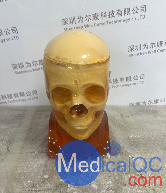 HD-C03成人頭模，HD-C03血管造影頭模，HD-C03頭部模體實拍圖