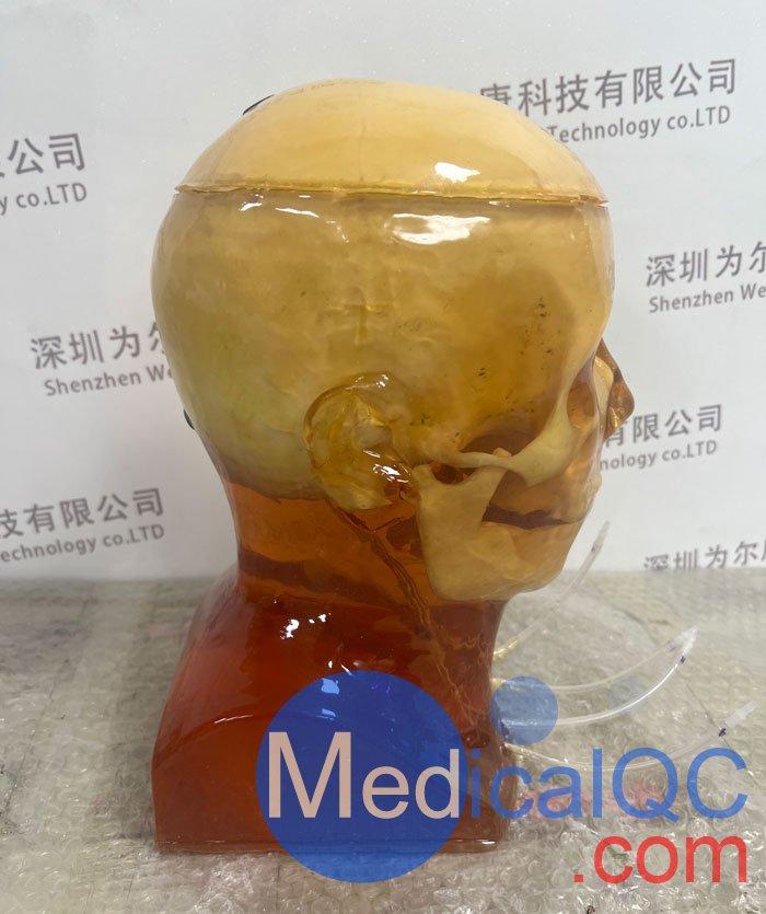 HD-C03成人頭模，HD-C03血管造影頭模，HD-C03頭部模體實拍圖
