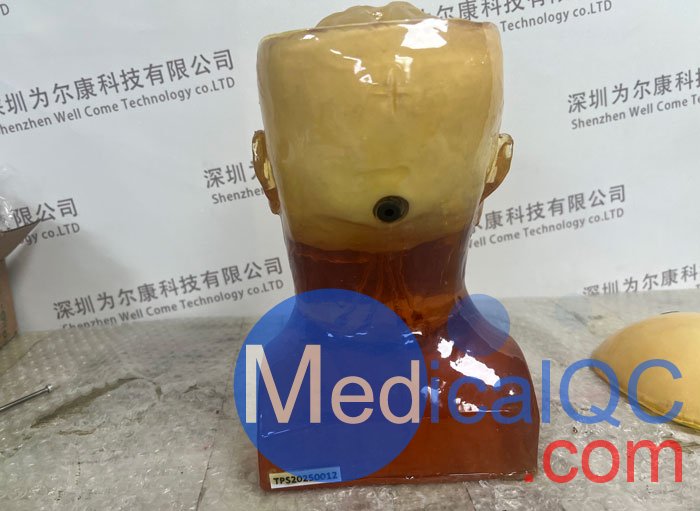 HD-C03成人頭模，HD-C03血管造影頭模，HD-C03頭部模體實拍圖