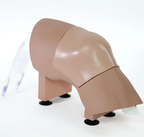 ARC-20-L關(guān)節(jié)穿刺訓(xùn)練模型，ARC-20-L膝關(guān)節(jié)穿刺訓(xùn)練模型