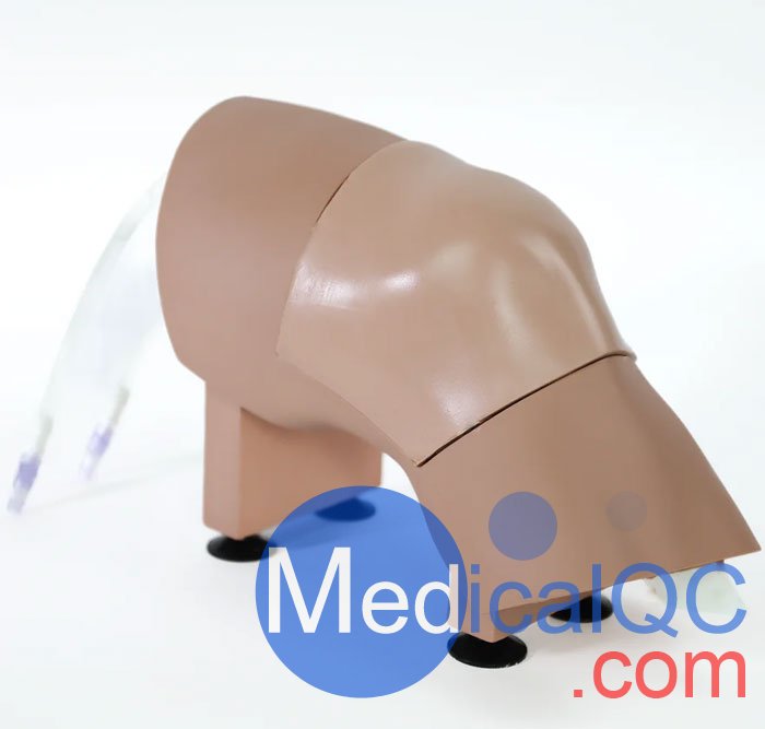 ARC-20-L關(guān)節(jié)穿刺訓(xùn)練模型，ARC-20-L膝關(guān)節(jié)穿刺訓(xùn)練模型