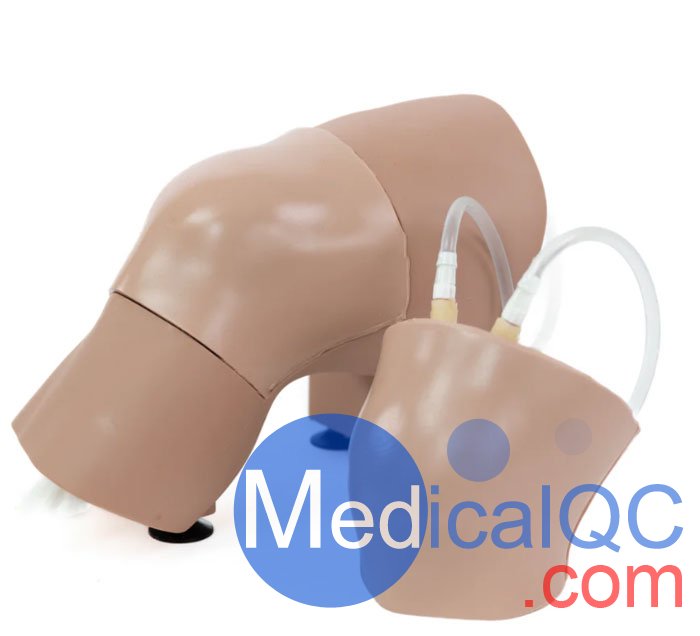 ARC-20-L關(guān)節(jié)穿刺訓(xùn)練模型，ARC-20-L膝關(guān)節(jié)穿刺訓(xùn)練模型