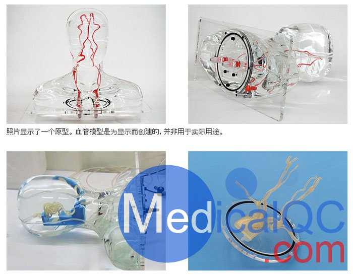 HB-1頭部血管模型，HB-1頭部體模，帶血管
