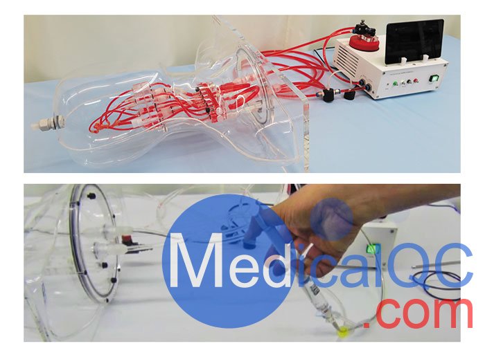 HB-1頭部血管模型，HB-1頭部體模，帶血管